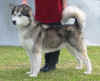 Maddie 031004.JPG (118128 bytes)
