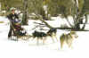 Sledding.jpg (209359 bytes)