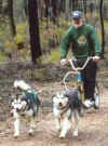 pups2dog.jpg (20348 bytes)